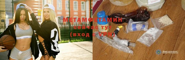 гидра Богородицк