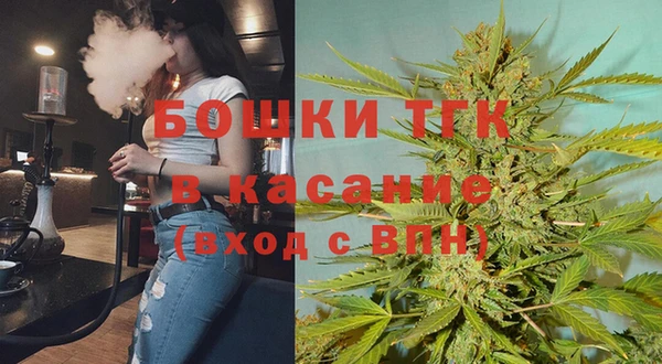 гидра Богородицк