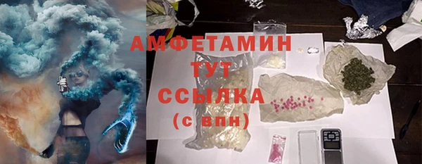 гидра Богородицк