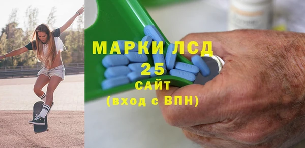 гидра Богородицк
