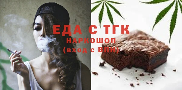 гидра Богородицк
