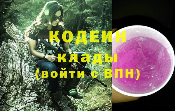 гидра Богородицк