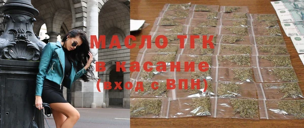 гидра Богородицк
