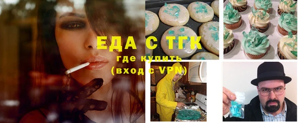 гидра Богородицк